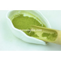 Jasmine Vine Tea Extract Green Tea Powder